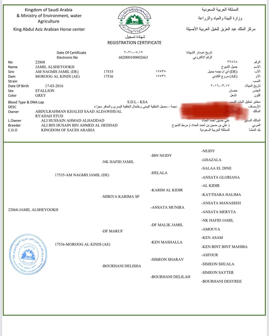 جميل الشيوخ – حصان مكس – القصيم عنيزة