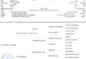 عبادي السكب – حصان مكس – الطايف،وادي ليّه