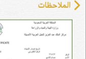 صدام التاسع – حصان مكس – القصيم