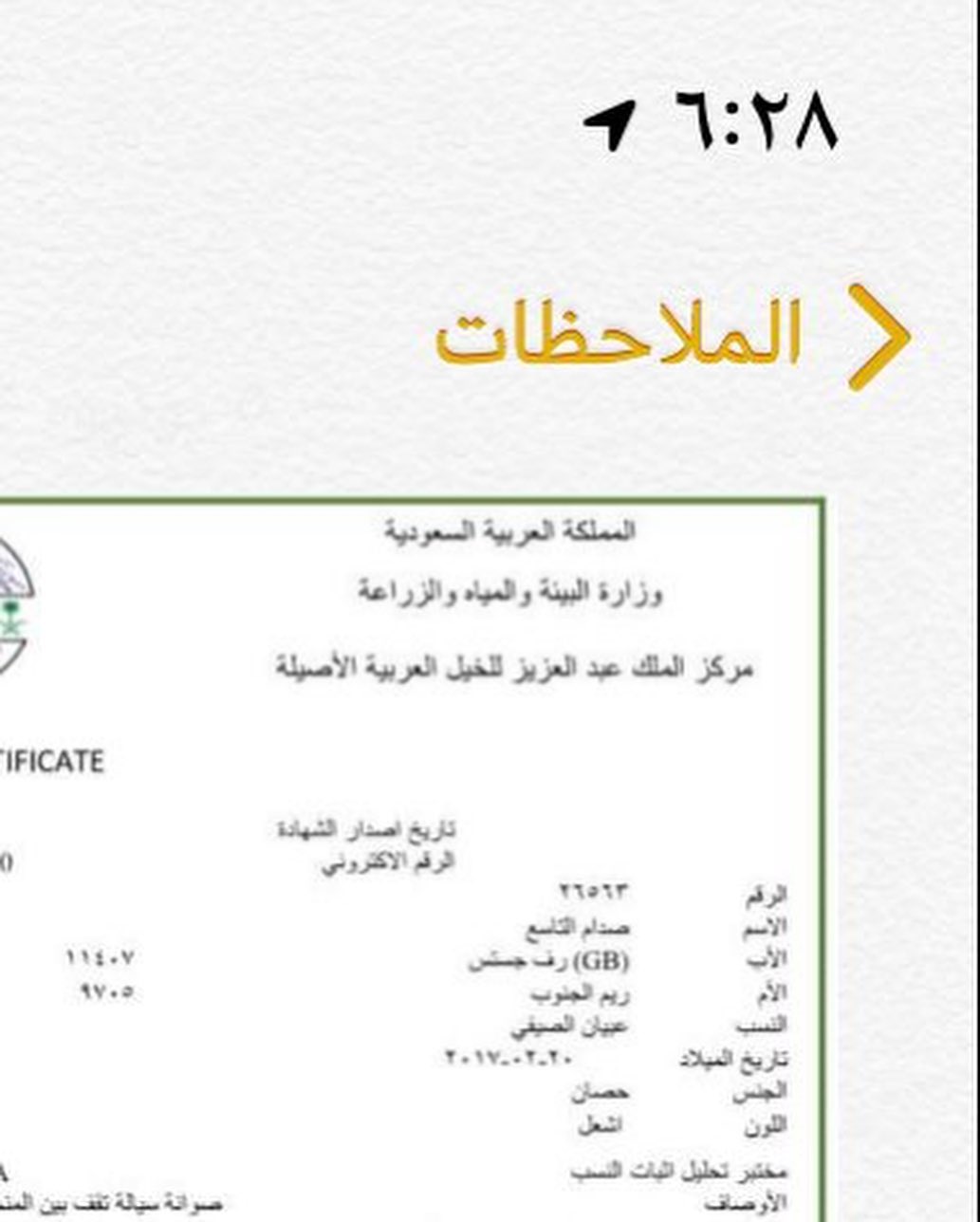 صدام التاسع – حصان مكس – القصيم