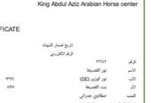 نور – فحل واهو فاخر – الطائف