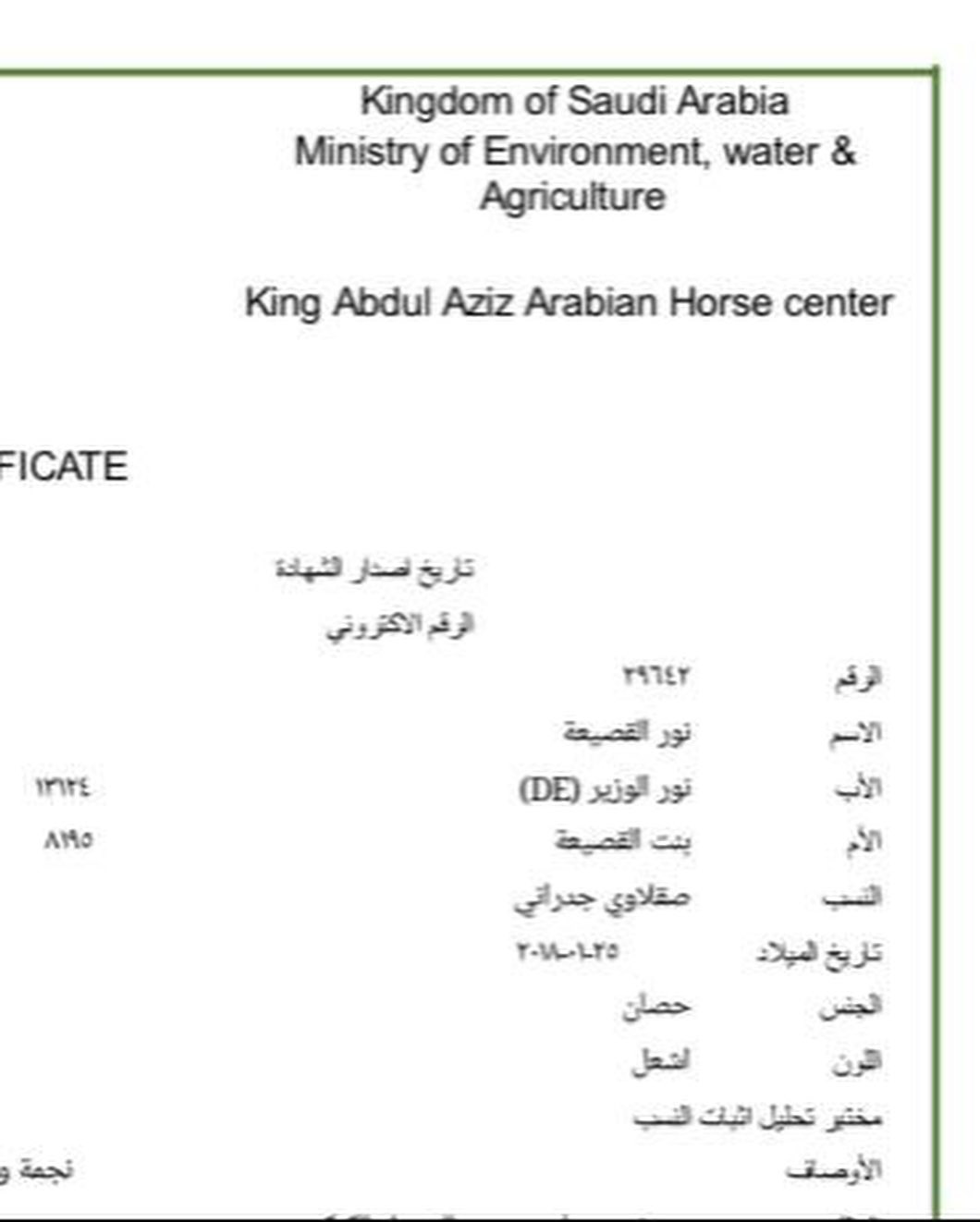 نور – فحل واهو فاخر – الطائف