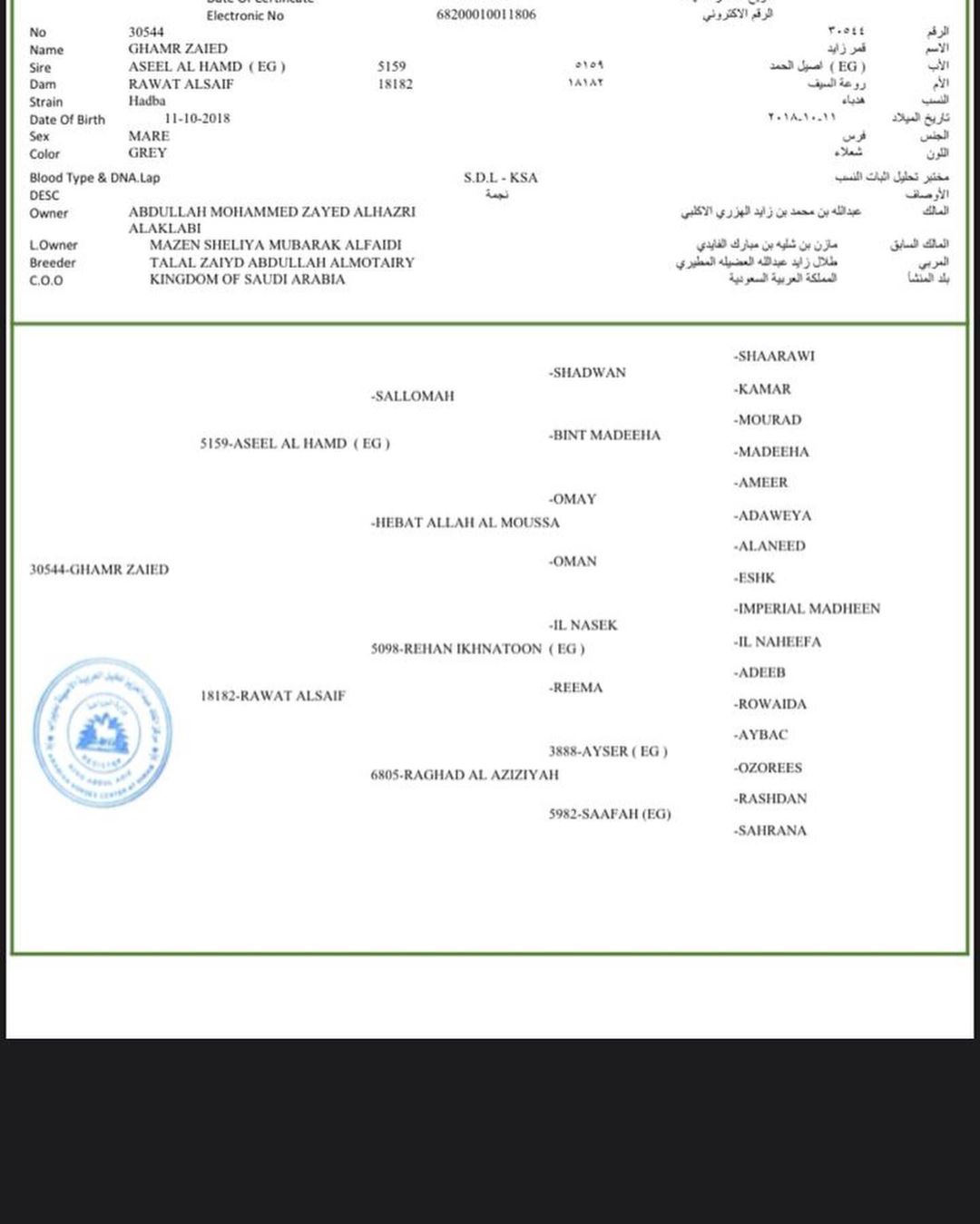 قمر زايد – فرس مصرية – بيشه