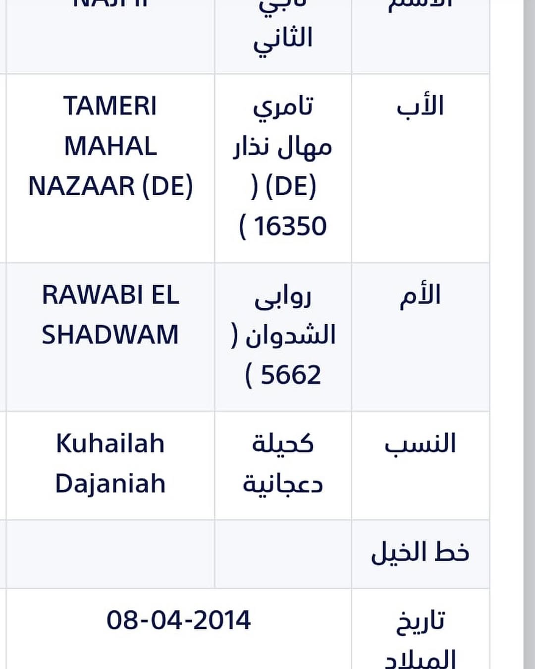 ♦️ناجي الثاني فحل مربط خط جمال🔥♦️