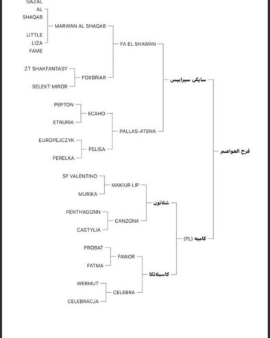 ♦️فرس فرح العواصم حفيده الاسطوره ال شاوان خط جمال للقاح 9 شهور🔥♦️