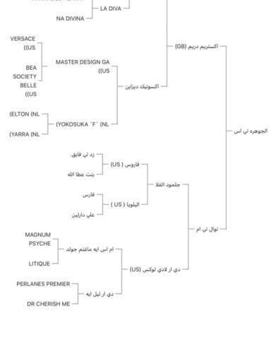 ♦️الجوهره تي اس فرس فاخررررة🔥♦️