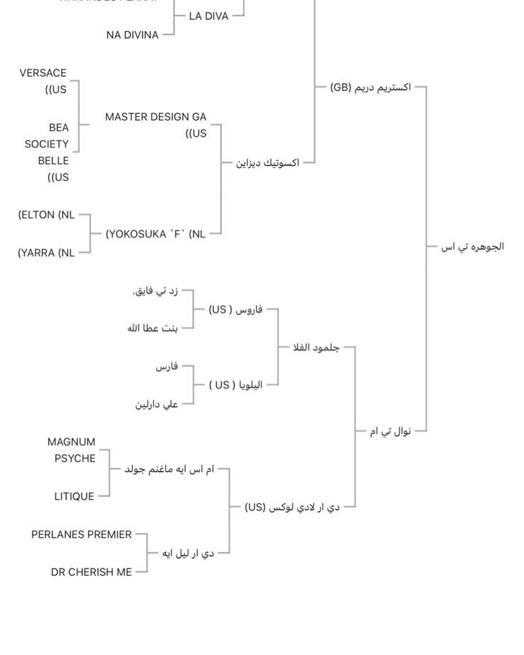 ♦️الجوهره تي اس فرس فاخررررة🔥♦️