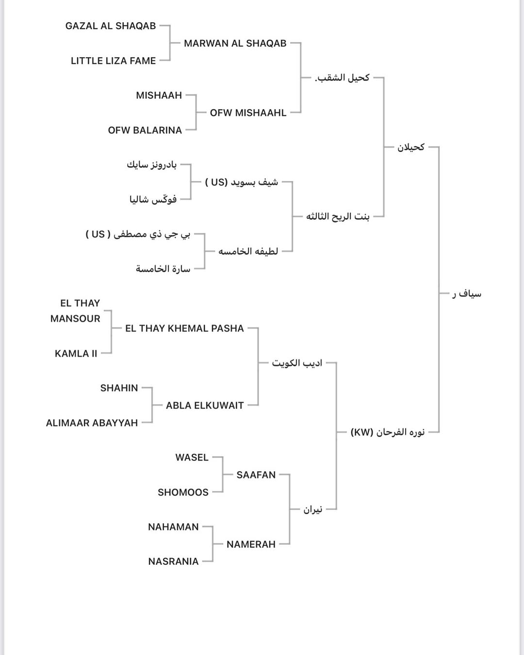 ♦️سياف ر مهر مكس🔥♦️