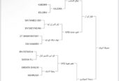 جميلة الرواء حفيدة غزال الشقب مهرة مكس خط جمال 👑