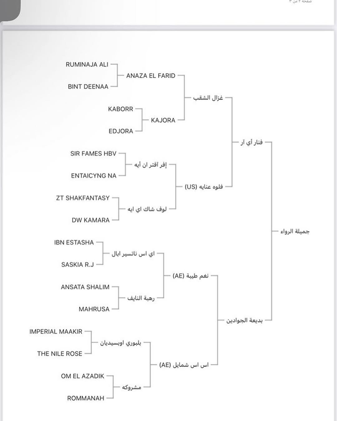 جميلة الرواء حفيدة غزال الشقب مهرة مكس خط جمال 👑